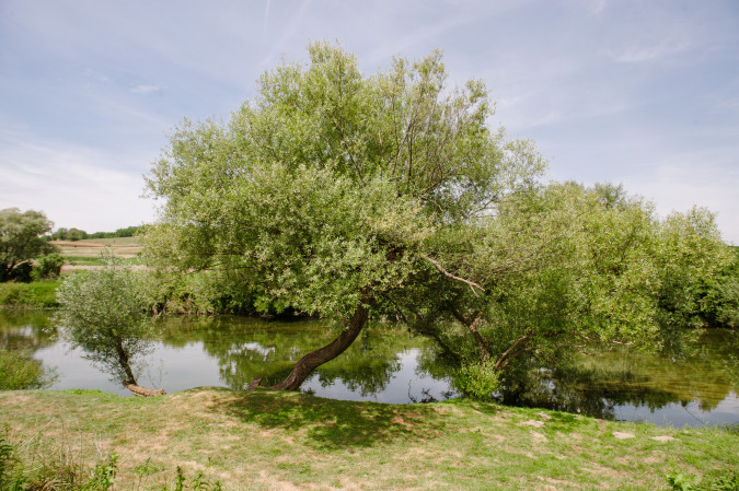 An idyllic exterior, Traditional Houses Korana River KARLOVAC